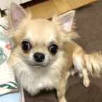 スプラッシュ